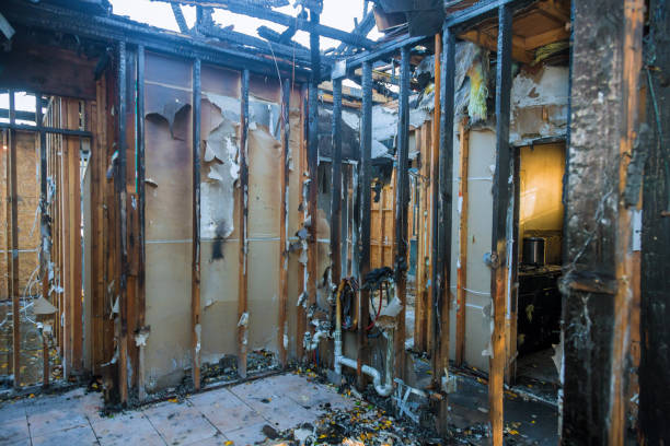 Professional Board Up Services technician working in Steelville, MO